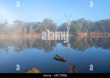 Early morning fog and reflections on Severn River, Glen Aplin, NSW Australia Stock Photo