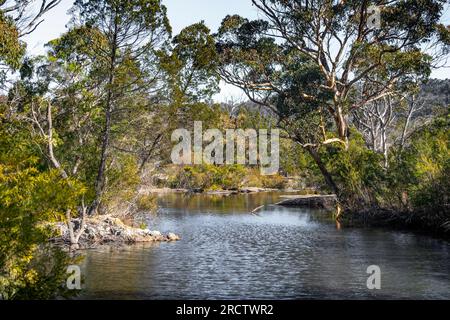 Waterhole on Bald Rock Creek, Girraween National Park, Southeast Queensland, Australia Stock Photo