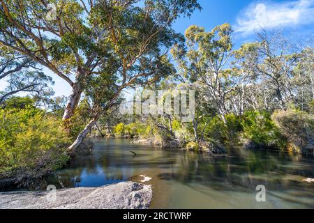 Waterhole on Bald Rock Creek, Girraween National Park, Southeast Queensland, Australia Stock Photo