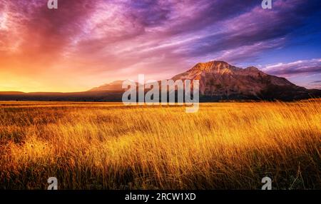 Summer morning outside the town of Waterton Alberta. On the America, Canada border. Stock Photo
