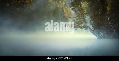 Misty Morning on the Hunt Lake trail. Manitoba Canada. Stock Photo