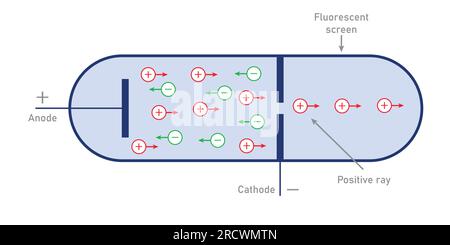 Schematic diagram of production of positive rays. Vector illustration isolated on white background. Stock Vector