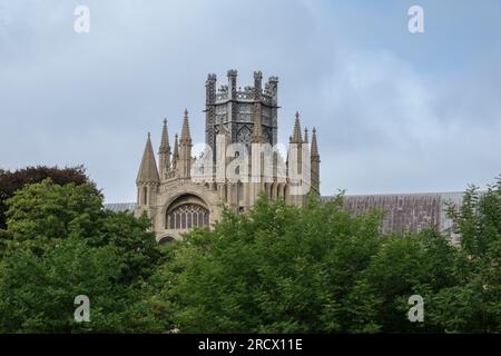 Ely Cathedral with trees in the foreground Stock Photo - Alamy