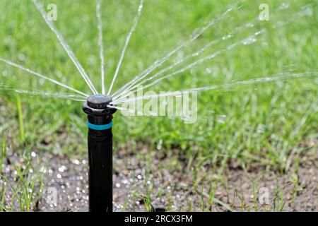 Close-up of automatic pop-up sprinkler while lawn irrigation Stock Photo