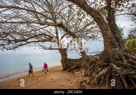 People strolling on Anini Beach, Kauai Stock Photo