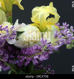 Fresh picked summer bouquet of Iris, Peony, and Lupine flowers. Stock Photo