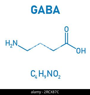 Chemical structure of γ-Aminobutyric acid or gamma-aminobutyric acid or GABA (C4H9NO2). Chemical resources for teachers and students. Stock Vector