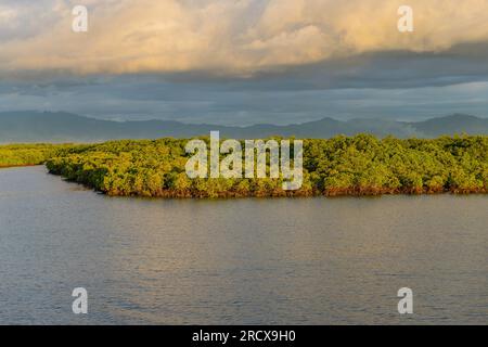 Mangroves and lush vegetation with mountains behind, Port Denarau, near Nadi, Viti Levu, Fiji Islands, South Pacific Stock Photo