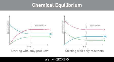 State of chemical equilibrium in reaction. Time concentration graph. Vector illustration isolated on white background. Stock Vector