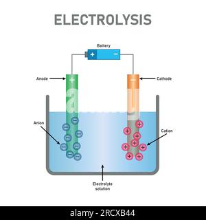Electrolysis of water diagram. Battery, anode, cathode, cation, anion and electrolyte solution. Physics resources for teacher and students Stock Vector