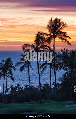 coconut palm (Cocos nucifera), coconut palms on the seashore in the afterglow, USA, Hawaii, Maui, Kihei Stock Photo