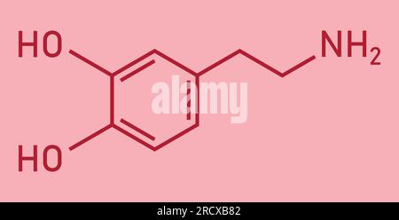 Chemical structure of Dopamine (C8H11NO2). Chemical resources for teachers and students. Vector illustration isolated on white background. Stock Vector