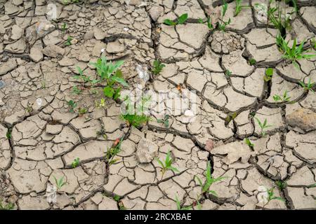cracked earth in the ground Stock Photo