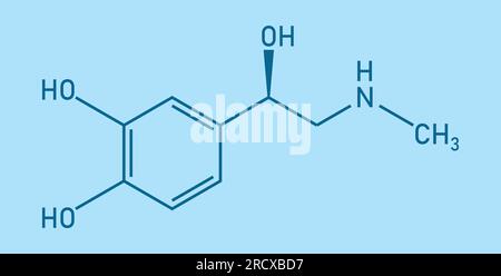 Chemical structure of Adrenaline or epinephrine (C9H13NO3). Chemical resources for teachers and students. Vector illustration Stock Vector