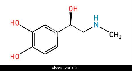 Chemical structure of Adrenaline or epinephrine (C9H13NO3). Chemical resources for teachers and students. Vector illustration Stock Vector