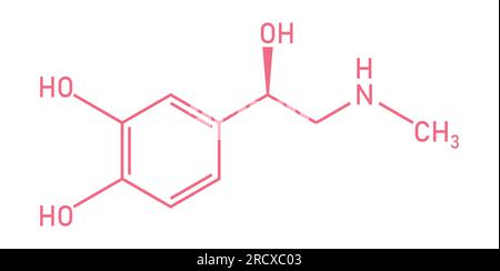 Chemical structure of Adrenaline or epinephrine (C9H13NO3). Chemical resources for teachers and students. Vector illustration Stock Vector