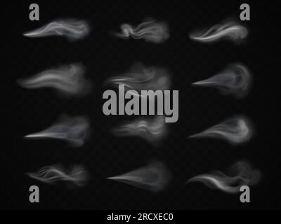 Wind gust. Realistic air winds blow, breeze current stream or white smoke puff curls windy effect, breath steam flow and perfume fragrance spray, isolated exact vector illustration Stock Vector