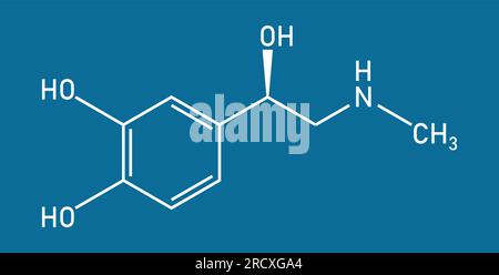 Chemical structure of Adrenaline or epinephrine (C9H13NO3). Chemical resources for teachers and students. Vector illustration Stock Vector