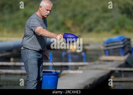 man throwing fish feeds in a pond Stock Photo