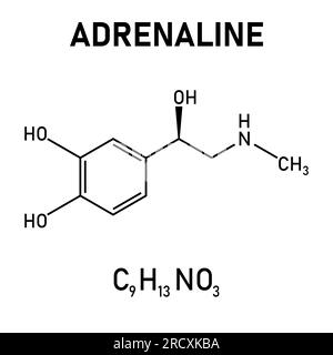 Chemical structure of Adrenaline or epinephrine (C9H13NO3). Chemical resources for teachers and students. Vector illustration Stock Vector