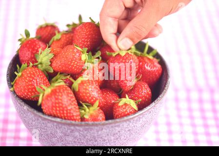 Strawberry picking Stock Photo