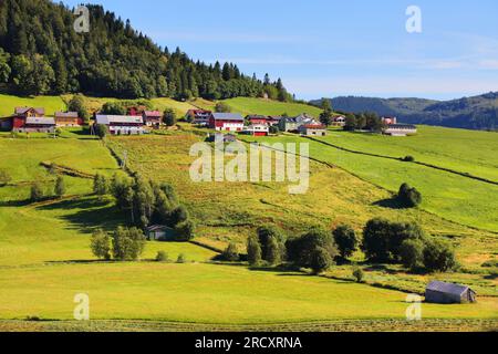 Farmlands and pastures in Norway. Agricultural area in the region of Sunnfjord municipality (Vestland county). Stock Photo