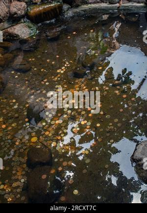 old swedish crown coin currency Stock Photo - Alamy