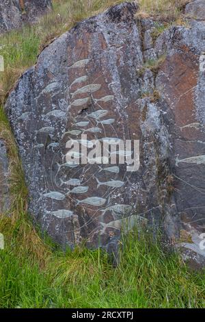 Whales fish, Rock art carvings, part of Stone & Man project by local artist Aka Høegh at Qaqortoq, Greenland in July Stock Photo