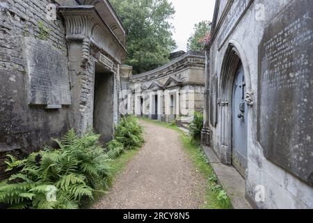 London, UK- 16 July 2023: Circle of Lebanon at the Highgate Cemetery West in London, England. Stock Photo