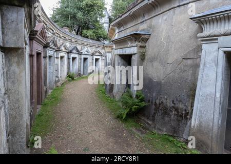London, UK- 16 July 2023: Circle of Lebanon at the Highgate Cemetery West in London, England. Stock Photo