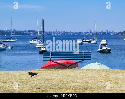 The view from Little Manly Beach across the water's of Sydney Harbour towards the city of Sydney, Australia. Stock Photo