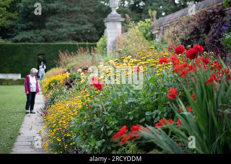 Taplow, Buckinghamshire, UK. 17th July, 2023. It was a lovely sunny day at Cliveden today as visitors enjoyed looking at the beautiful National Trust gardens. Credit: Maureen McLean/Alamy Live News Stock Photo