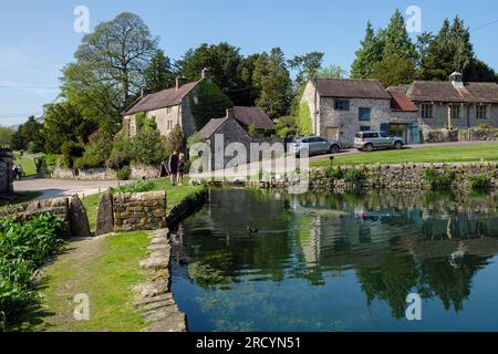 The village pond in Tissington, Peak District National Park, Derbyshire, England Stock Photo