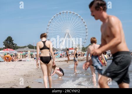 15 July 2023, Schleswig-Holstein, Grömitz: The Ferris wheel 'La Noria Gigante' is anchored storm-proof on a meadow directly on the beach. It has 36 gondolas and is 50 meters high. Photo: Markus Scholz/dpa Stock Photo