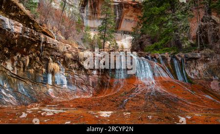 Waterfall at Left Fork North Creek, Zion Nation Park Utah Stock Photo