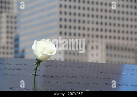 Close-up of a white flower placed on a stone plane with names engraved on it. Memorial in commemoration, perfect image to represent historical moments Stock Photo