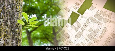Green project in cities, reconnecting nature and city - concept with leaf of a tree in a public park and imaginary city map Stock Photo