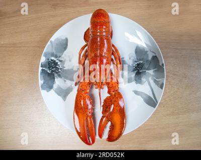 A delicious freshly boiled lobster on the plate. Top view. Stock Photo