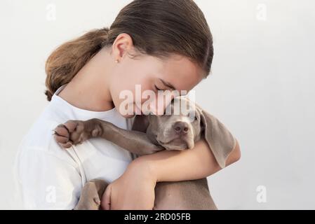 Girl hugging her Weimaraner puppy. Unconditional love for dogs. Pet care. Protective instinct of puppies Stock Photo