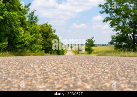 A straight old road leading into the distance surrounded by green trees and fields in summer in Europe Stock Photo