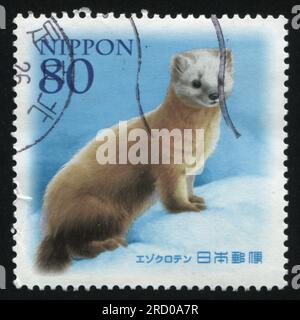 RUSSIA KALININGRAD, 22 APRIL 2016: stamp printed by Japan shows polecat, circa 2012 Stock Photo