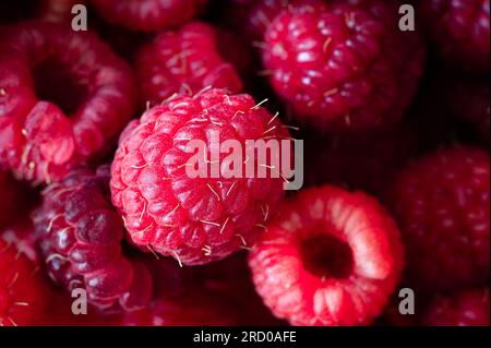 Close up of a pile of red raspberries Stock Photo