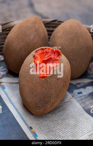 Bunch of Ripe Mamey Sapotes (Pouteria sapota) a Species Native to Mexico and Central America on a Stall in Colorful Market 'Mercado Mayoreo' Near the Stock Photo