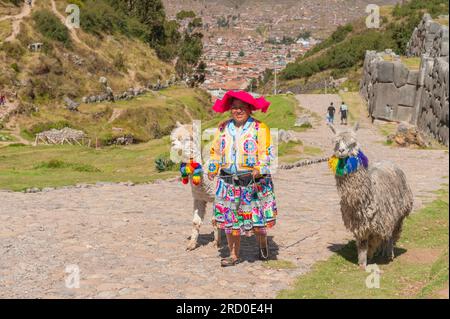 indigenous woman with alpacas in Cusco Peru. Stock Photo
