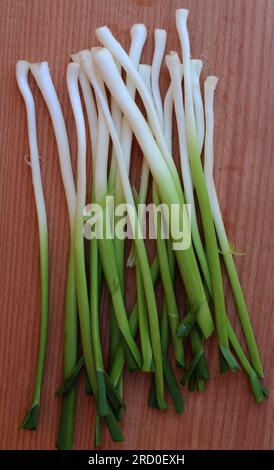 A bunch of peeled young garlic is on the kitchen board Stock Photo - Alamy
