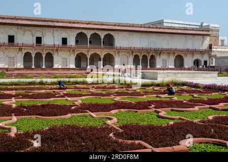 Agra, India — April 12, 2023. A long distance photo of women weeding in a garden in Fort Agra, India in the hot sun. Stock Photo