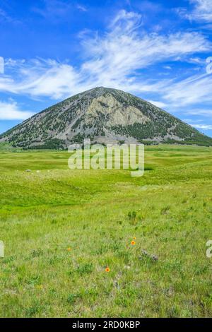 Whitlash Mt prairie below west butte in the sweet grass hills near whitlash ...