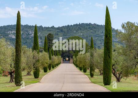 Scenic Provencal castle cypress and olive trees alley Stock Photo