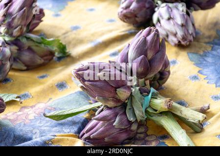 Heads of fresh organic artichoke flowers, edible vegetables purple romanesco artichokes Stock Photo