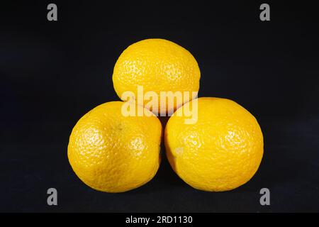 Picture of oranges, three of them, as a whole, isolated on a black background. An orange is a fruit of various citrus species in the family Rutaceae ( Stock Photo